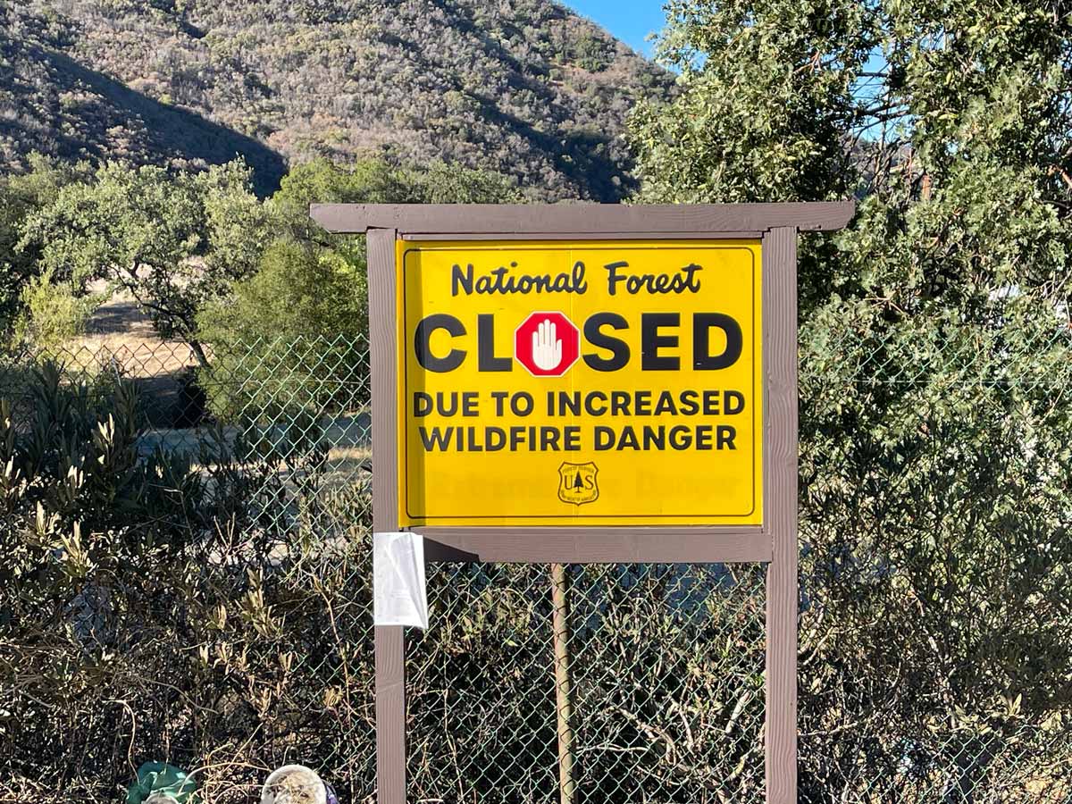Forest Closure