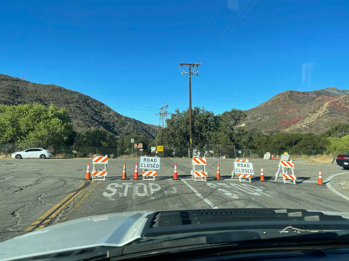Forest Closure
