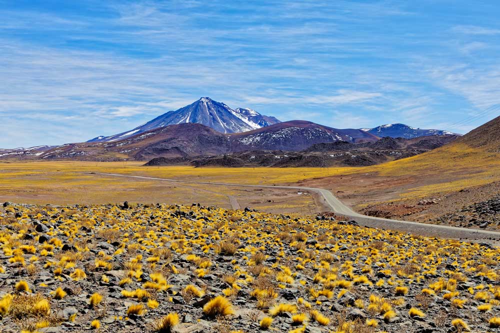 The Best of Argentina, Bolivia and Chile - South America, Day 16