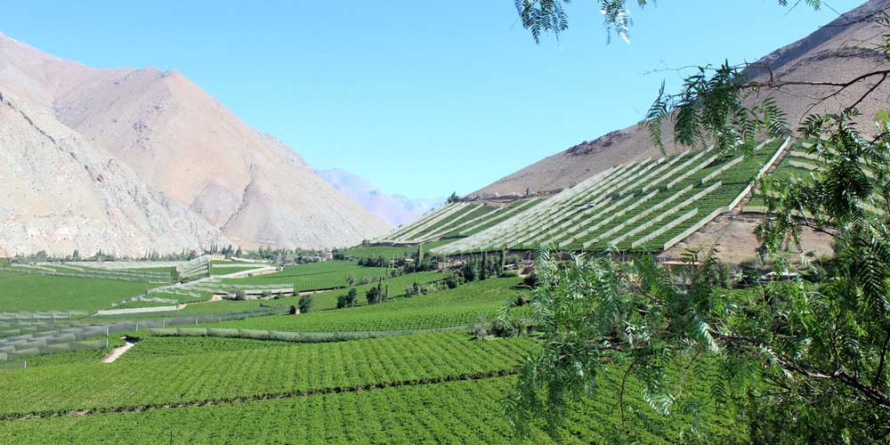 The Atacama Celestial Adventure 2019 by RawHyde - South America, Day 4